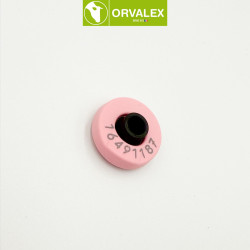 Boucle d'identification