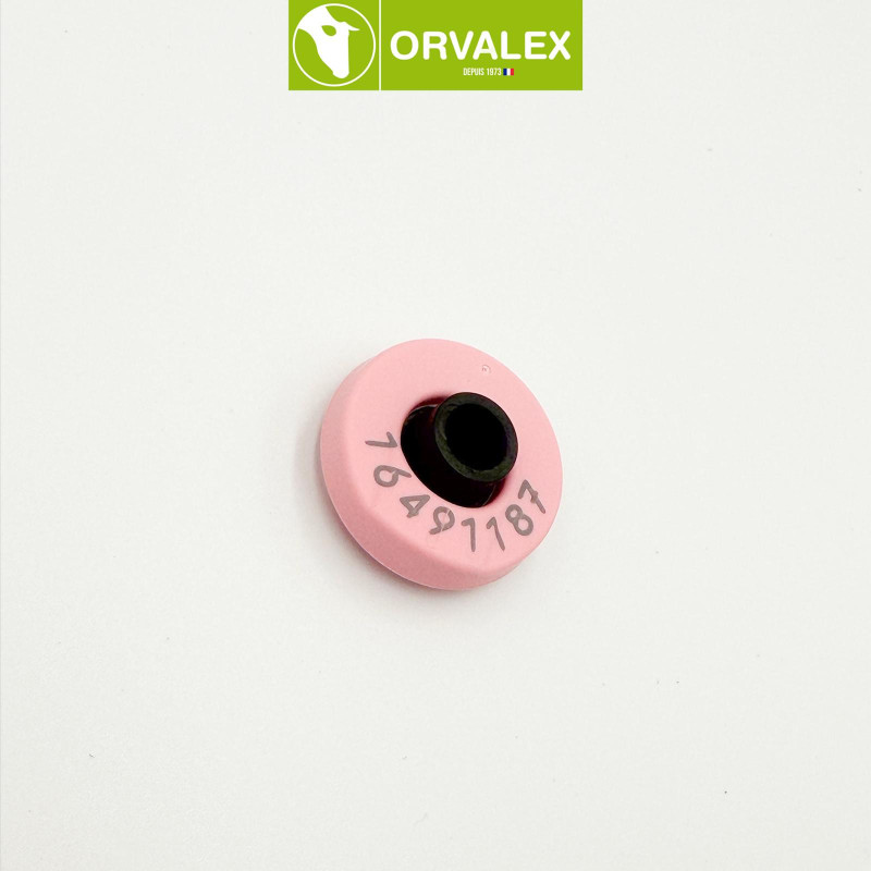 Boucle d'identification